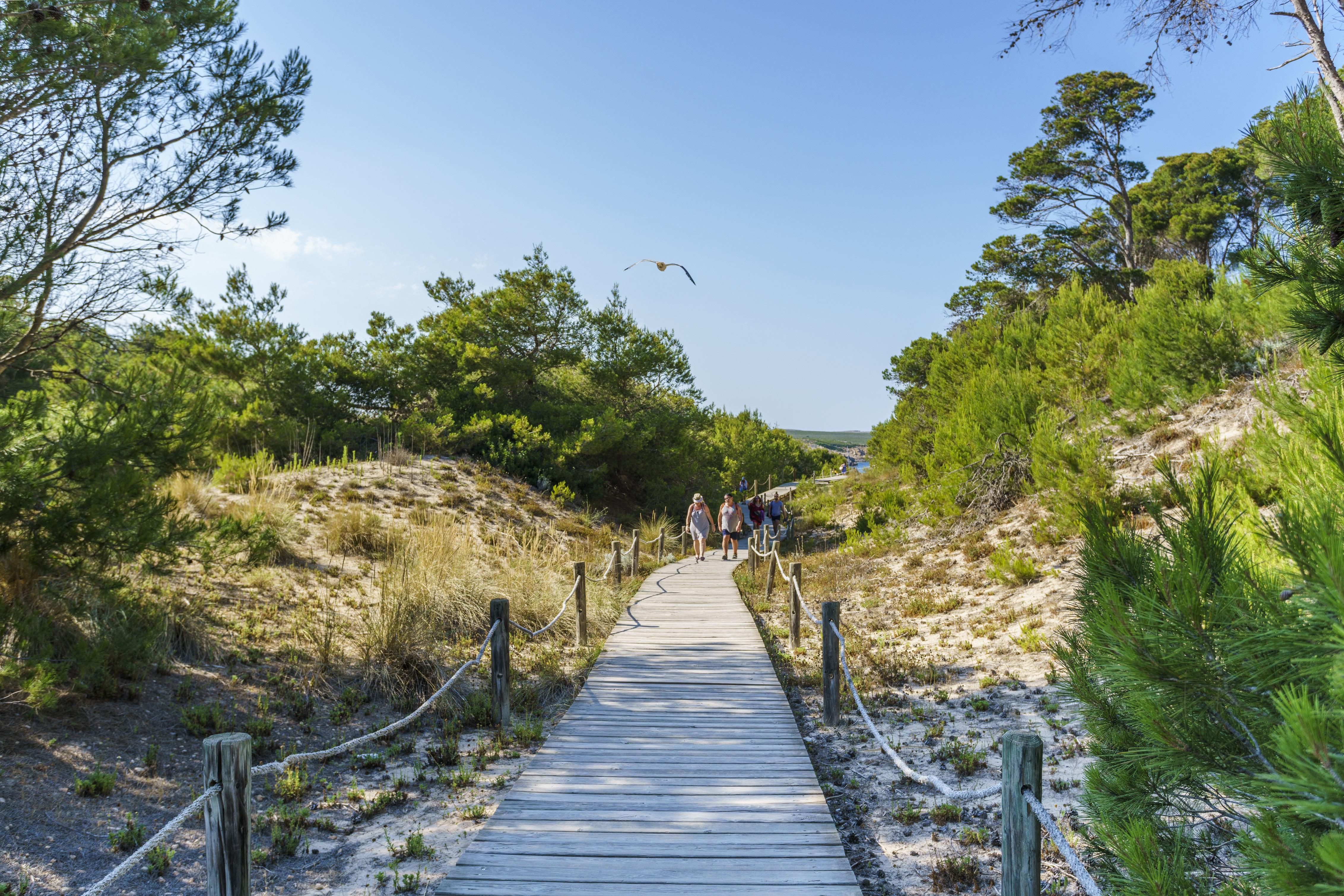Playa Parc Apartments Son Parc Εξωτερικό φωτογραφία